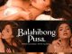 Balahibong Pusa